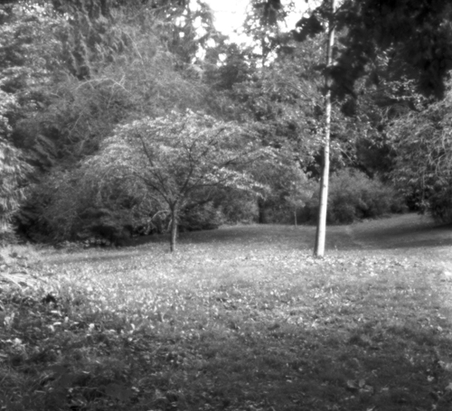 Another Pinhole Shot