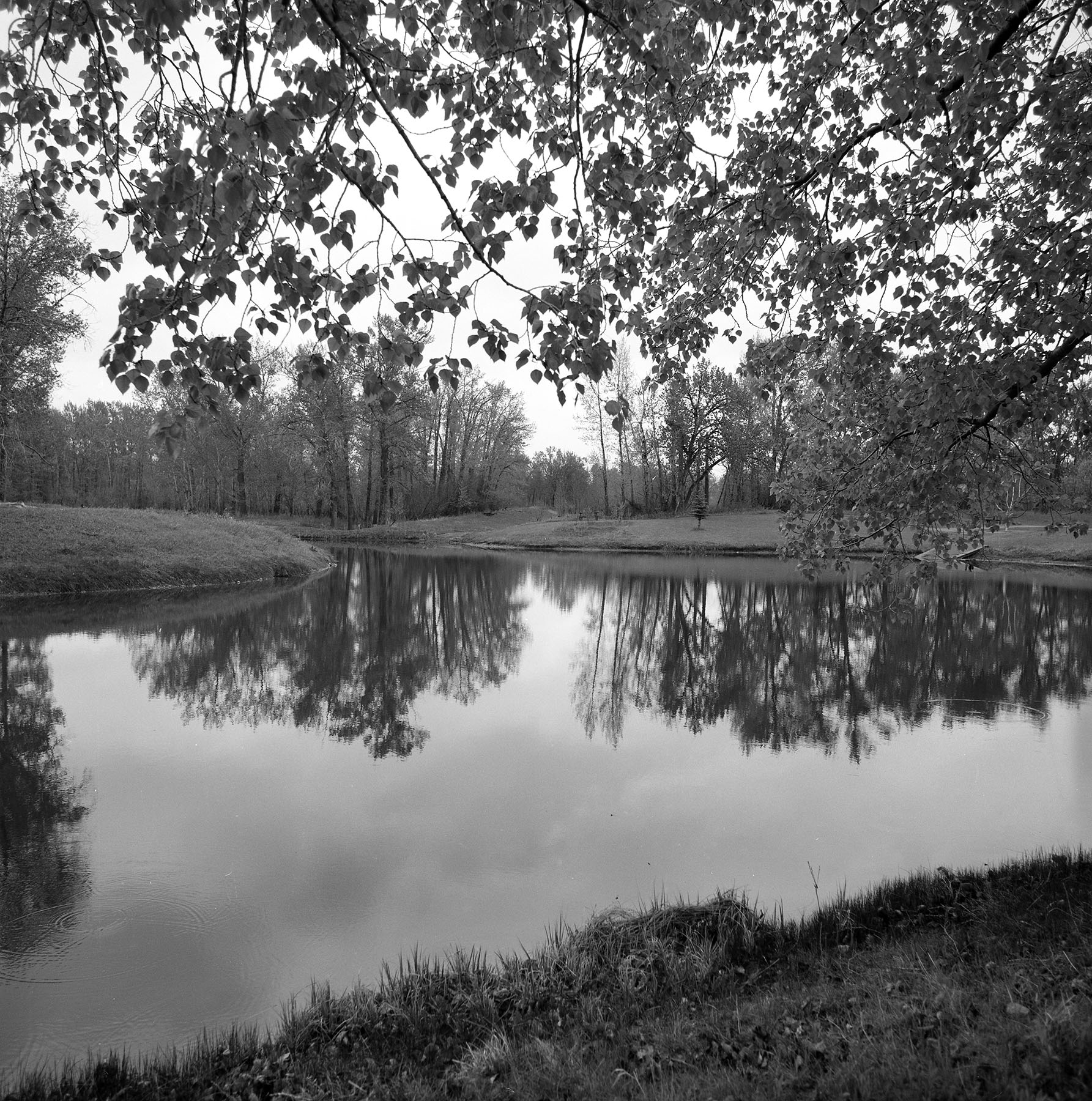 Another trip to Carburn Park