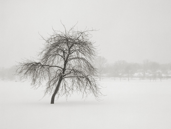 Another weekend, another blizzard.