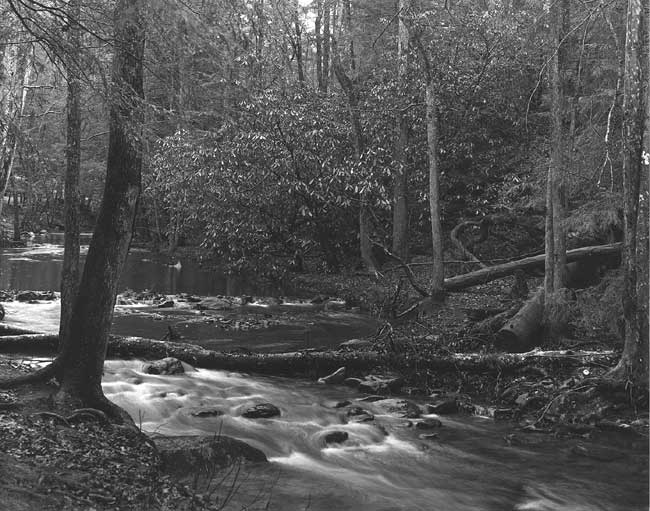 Another weekend at Mill Creek