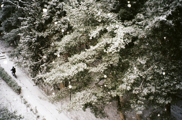 Another Winter at Home