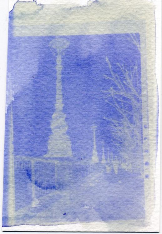 Anthotype