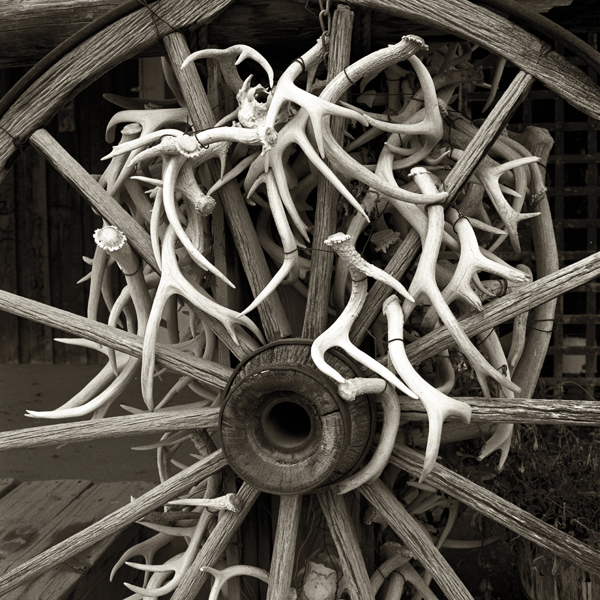 Antlers and Wheel