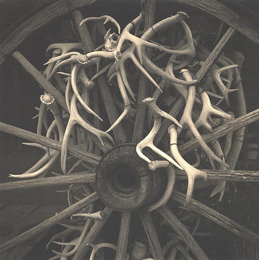 Antlers and Wheel