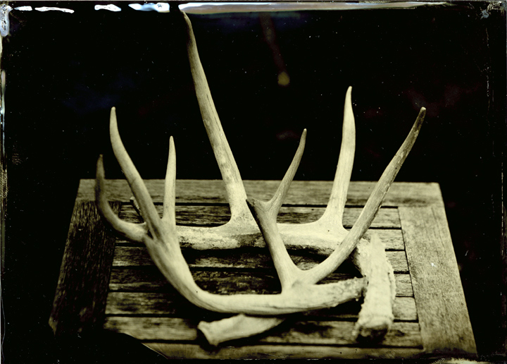 Antlers