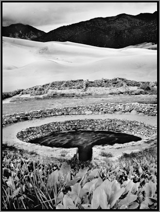 Apparition in the Desert