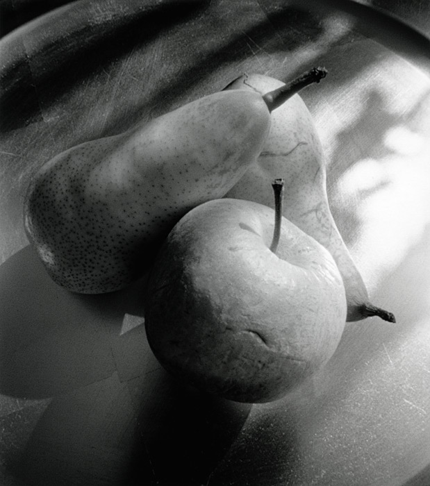apple and pears - pinhole, amidol