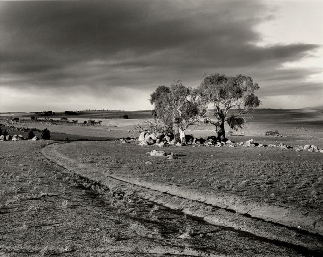 Approaching Storm on the Monaro Plains