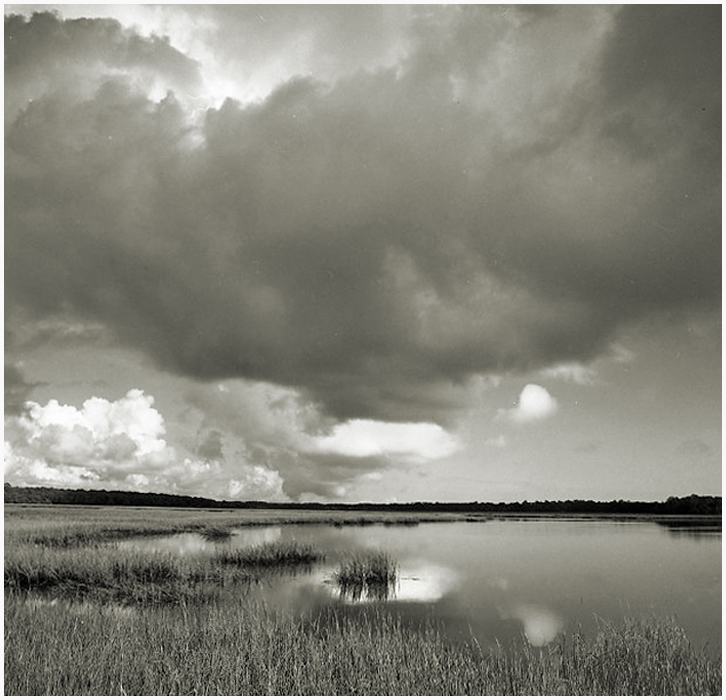Approaching Storm