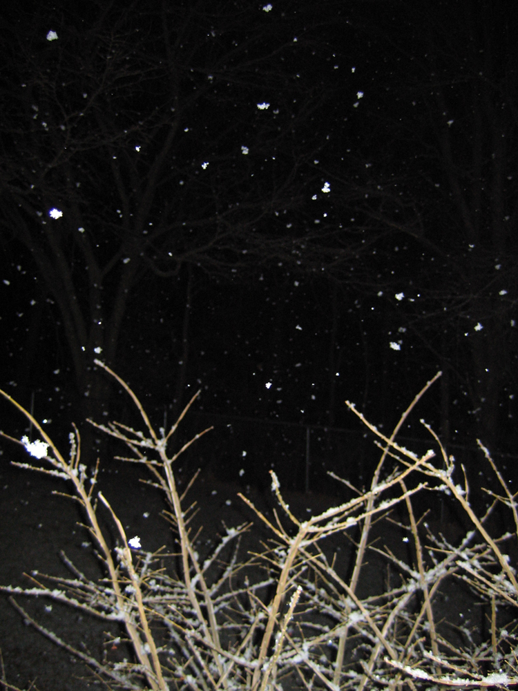 April Snow 01