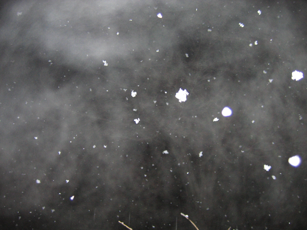April Snow 03