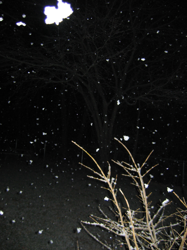 April Snow 04