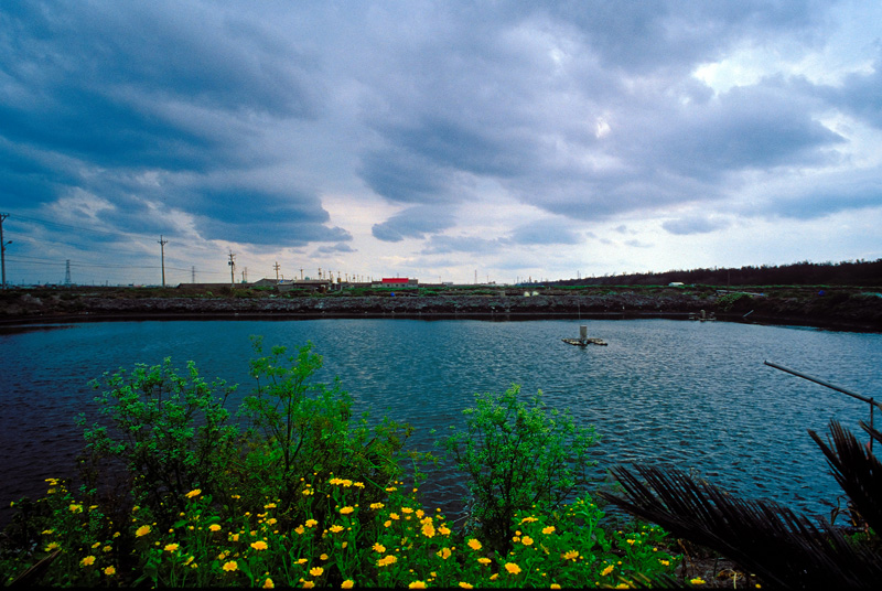 Aquaculture  farm
