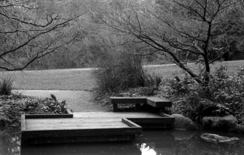 Arboretum in January