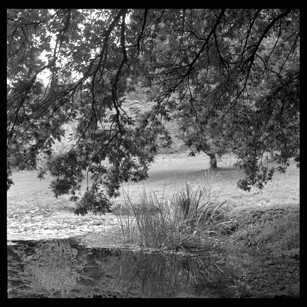 Arboretum, Seattle