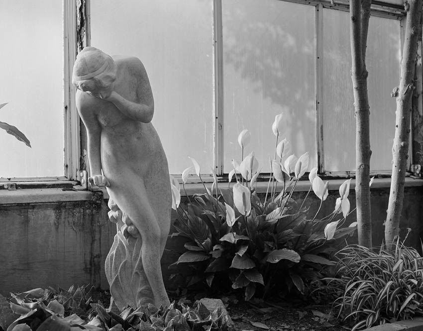 Arboretum statue