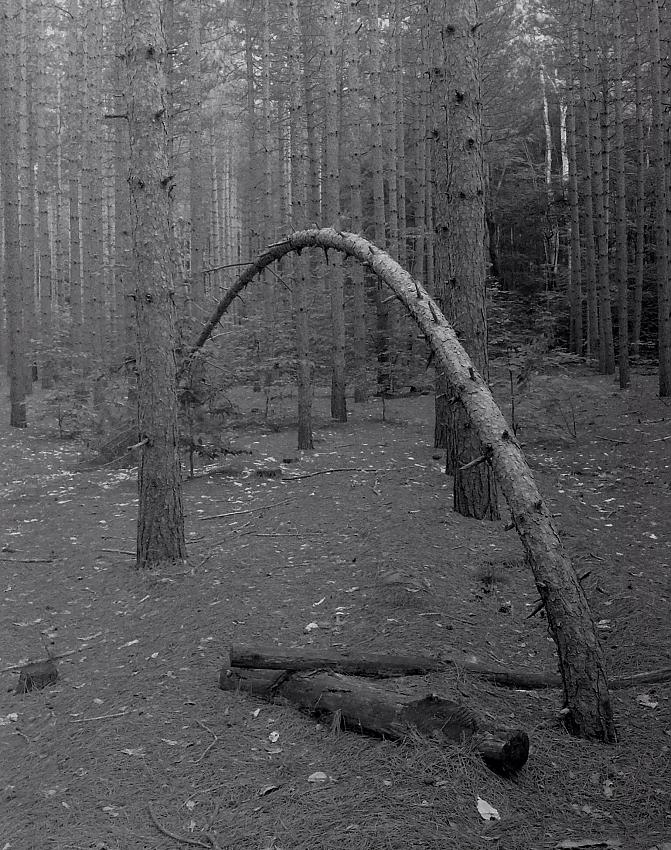 Arch Photostock 2013