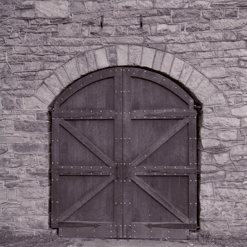 Archer_Carriage X850