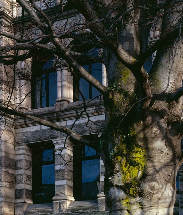 Architecture & Landscaping