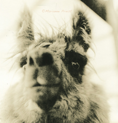 Are You Lookin' At Me?