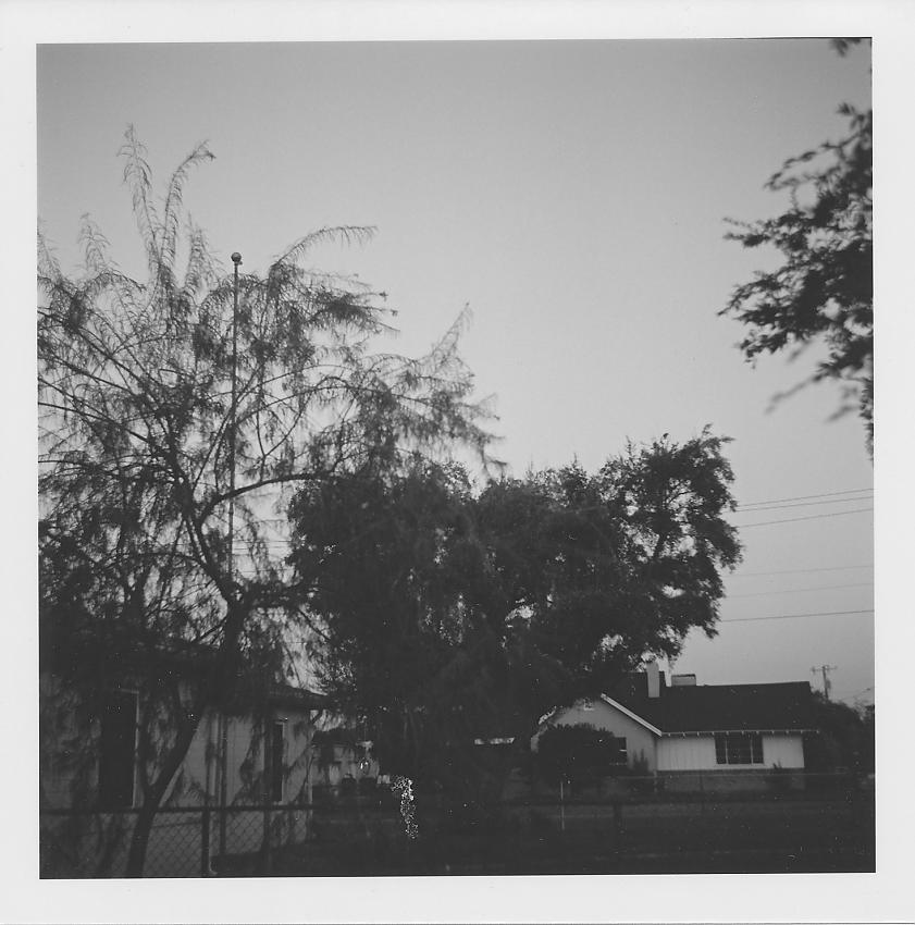 ArgusDay Argoflex TMax-100