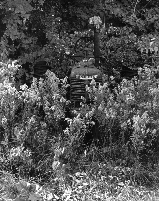 Arlie's Farmall, late summer