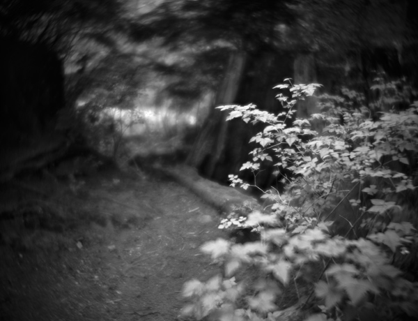 Around the point
