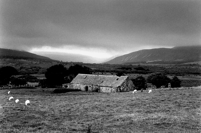 Arran farm & sheep