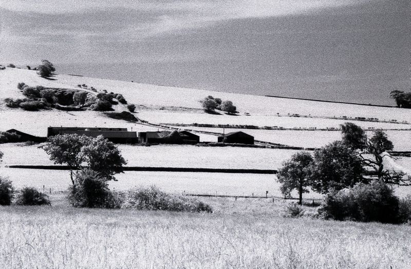 Ashey Infrared