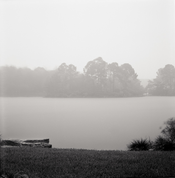 At Morikami Museum, Delray Beach