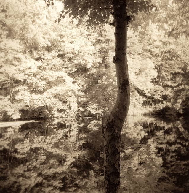 At the Pond 4