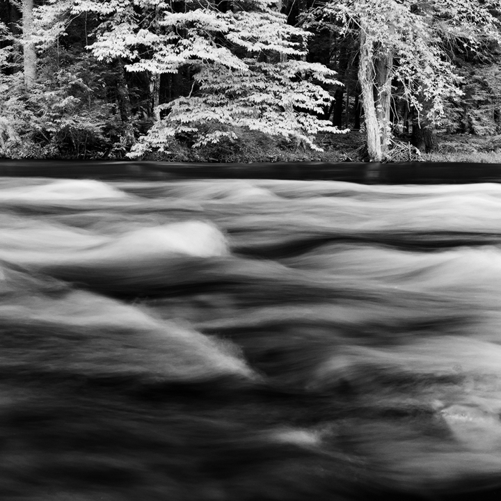 at the rivers edge