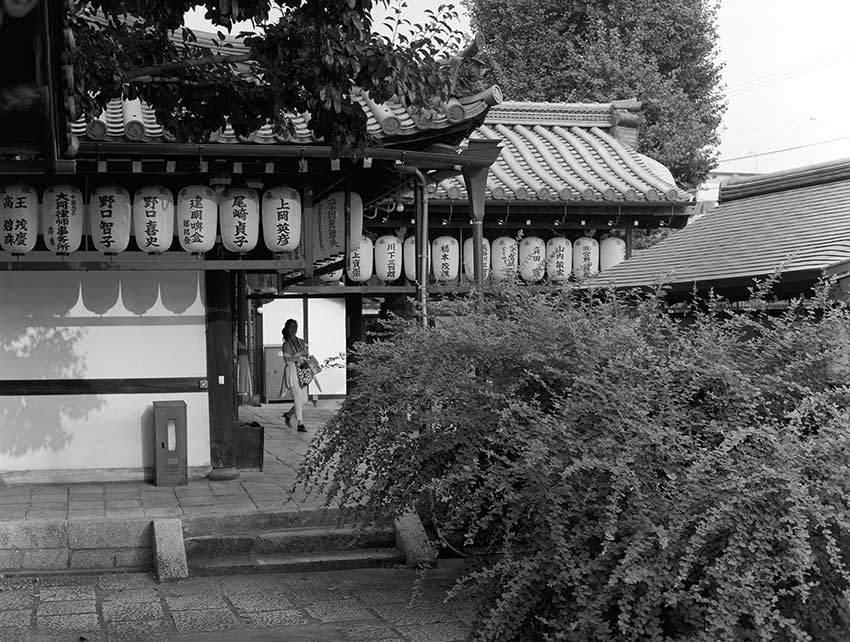 at the wild boar temple