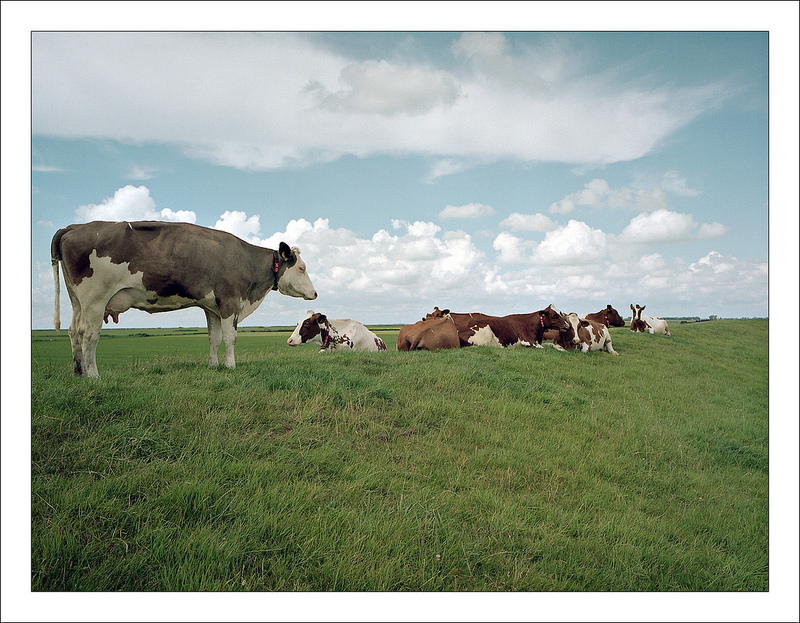 Atom Heart Mother