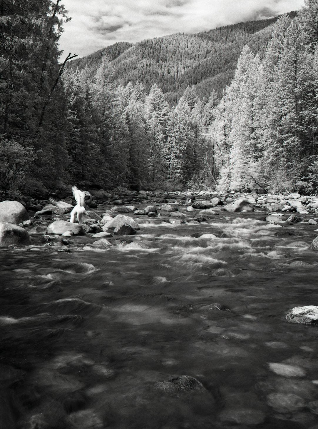 Au Creek in Infrared