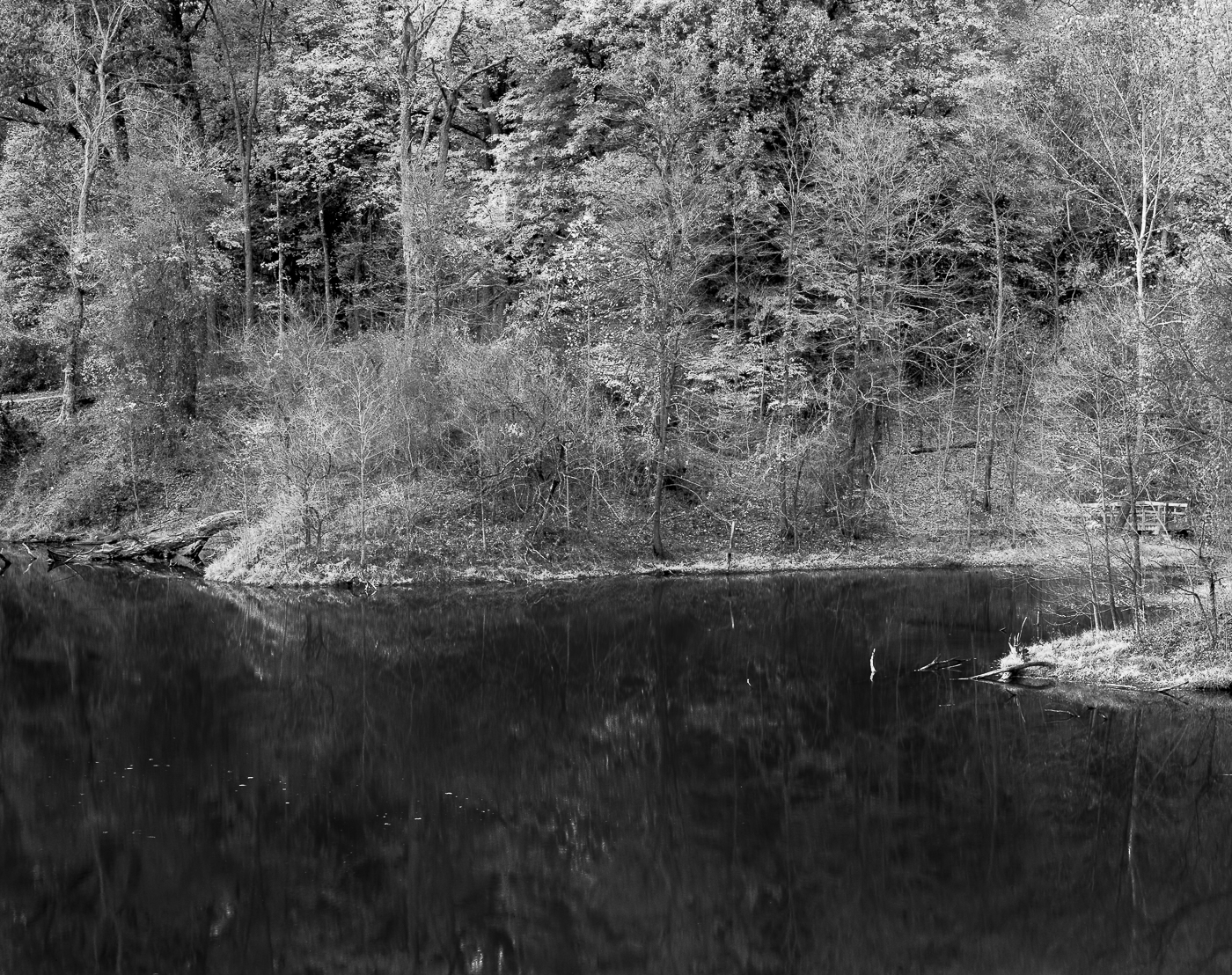 Audubon State Park Lake (1400L)_2.jpg