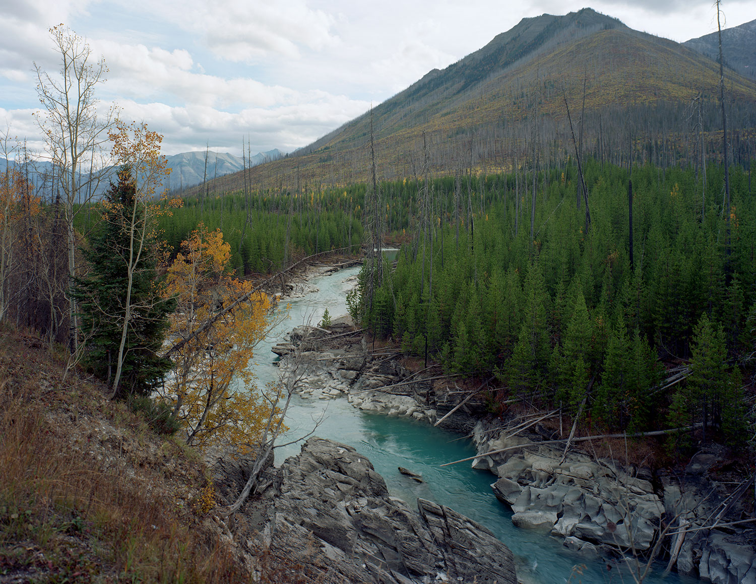 Autumn-2025-Kootenay-National-Park-II
