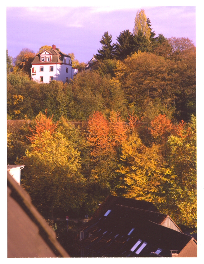 Autumn Colors
