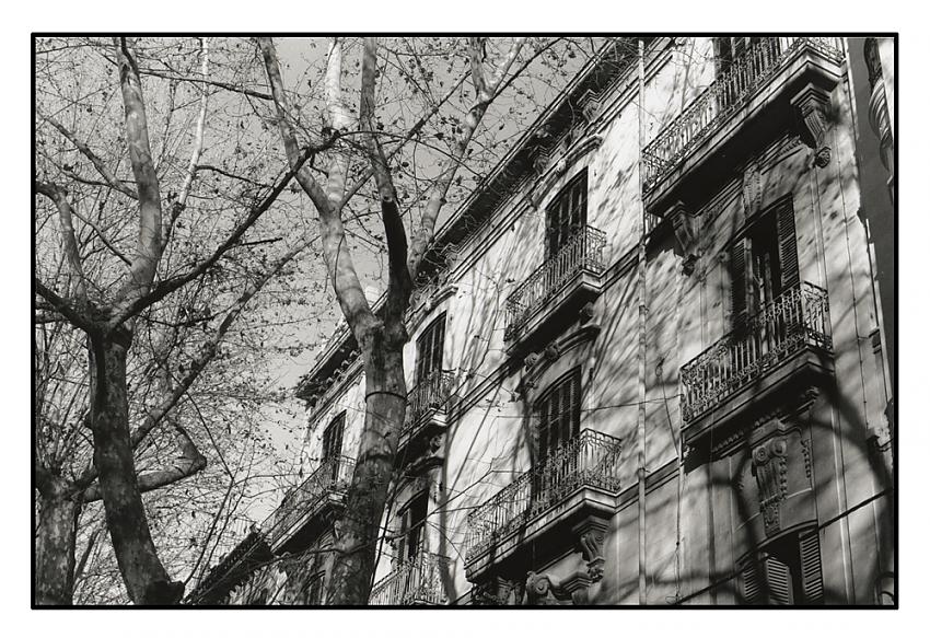 Autumn in Paris