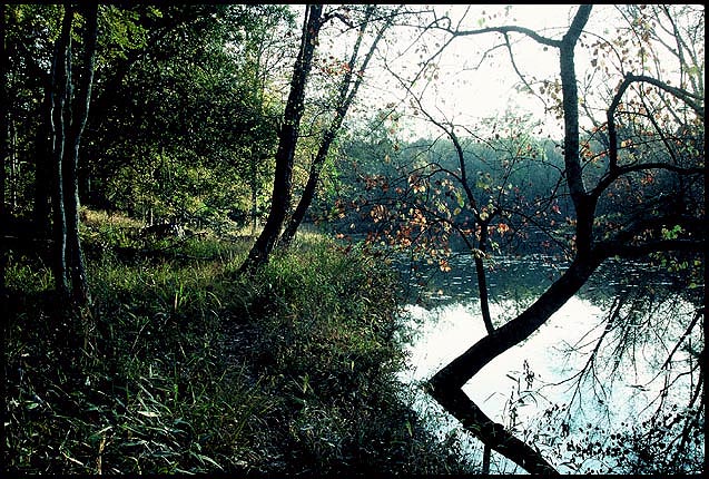 Autumn on South Fork River: Carlton, Georgia
