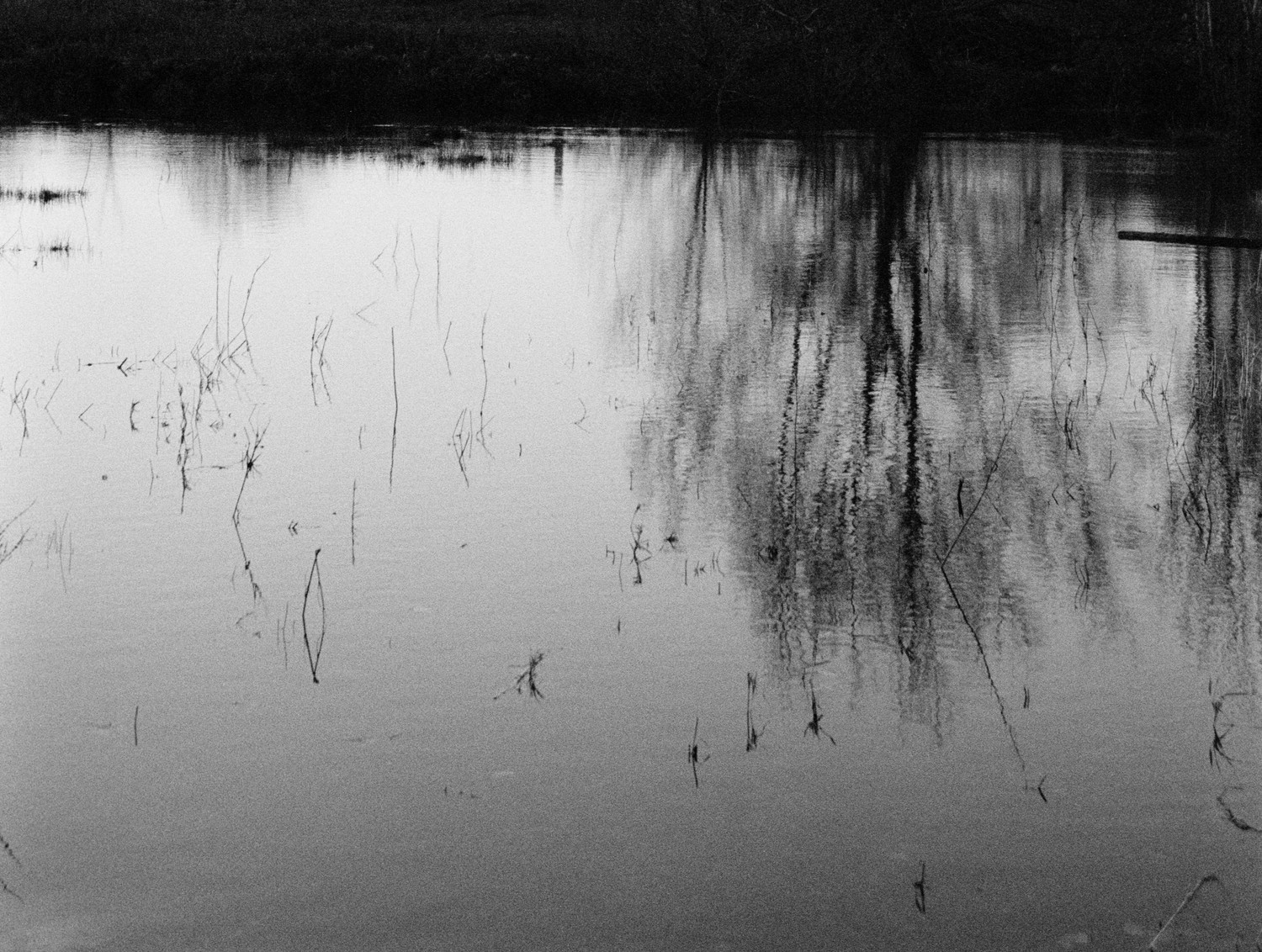 Autumn water reflections - 1