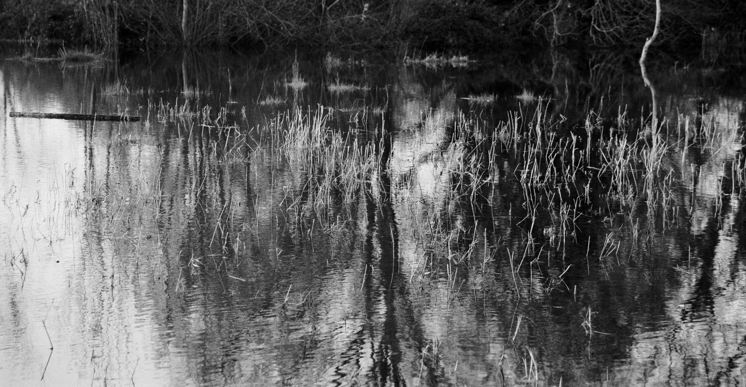Autumn water reflections - 2