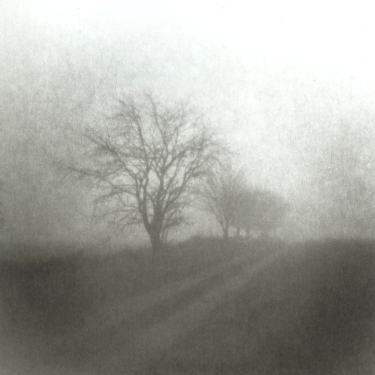 Autumn - Windy Ridge