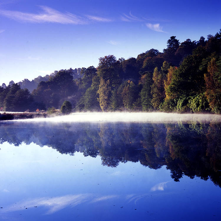 Autumn: Winkworth 1