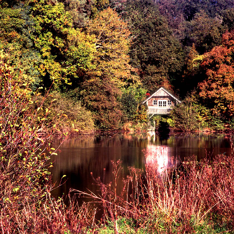 Autumn: Winkworth 2