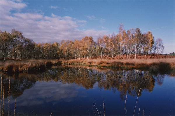 Autumn