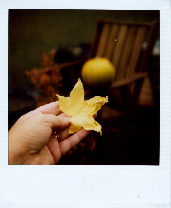 Autumn