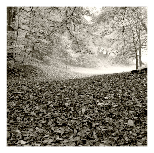 Autumn
