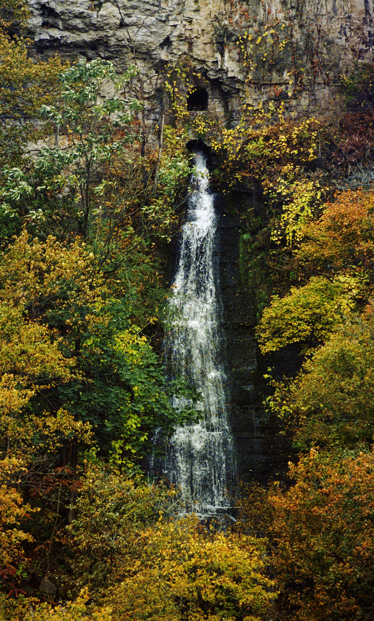 Autumn's Cascade