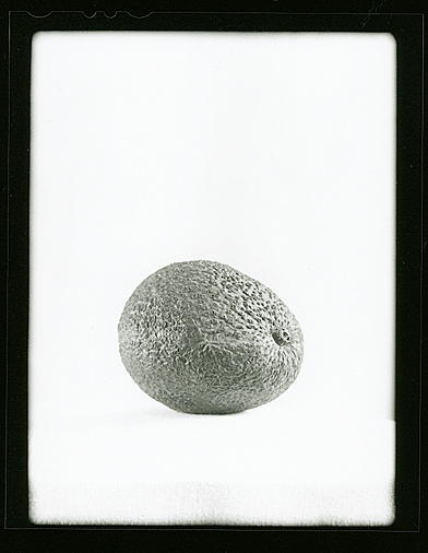 Avacado